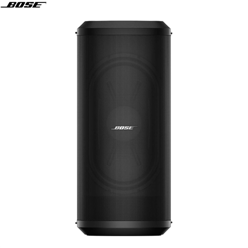 Loa Bose Sub2 4